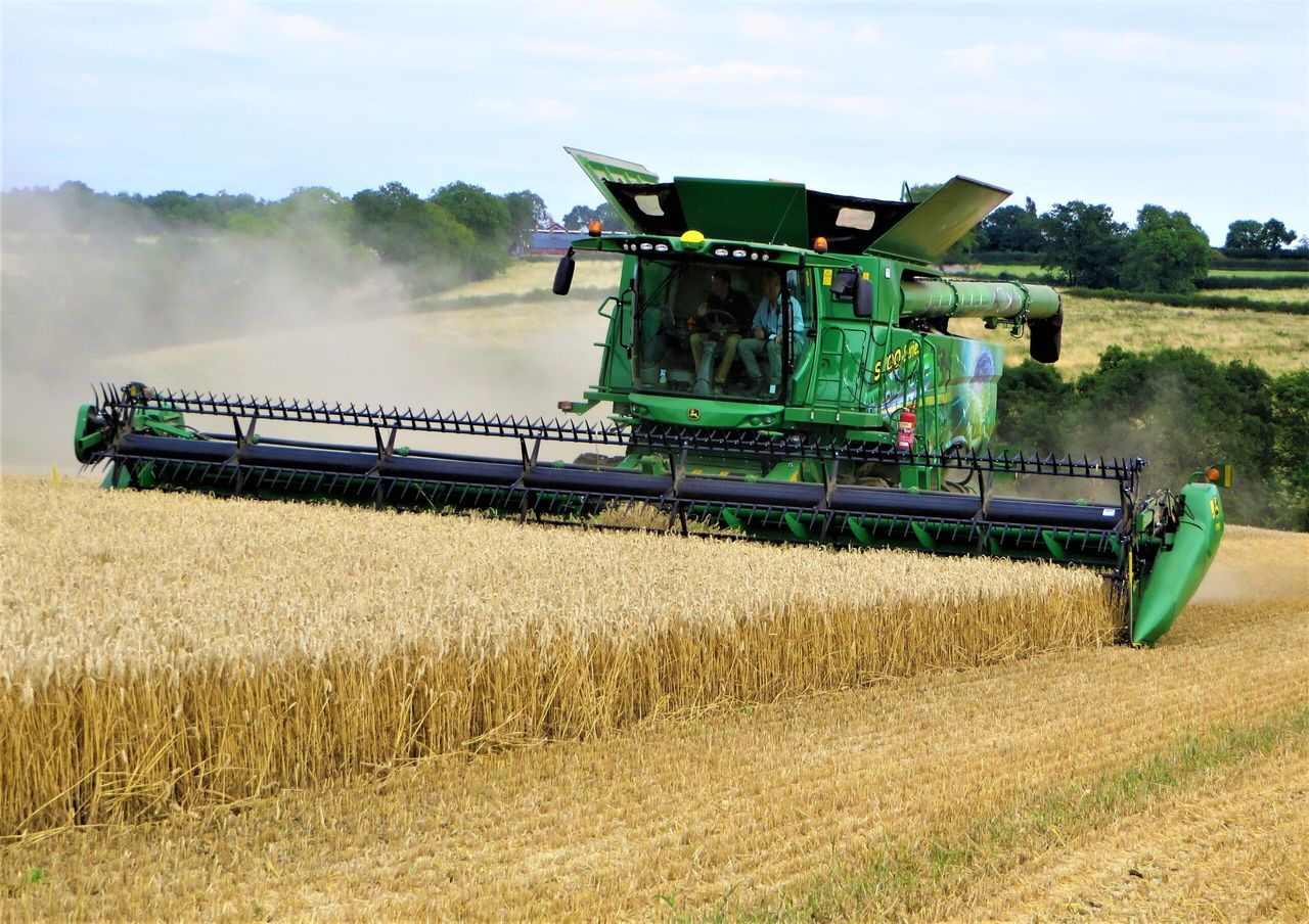 Global grain prices come under pressure as Black Sea talks progress