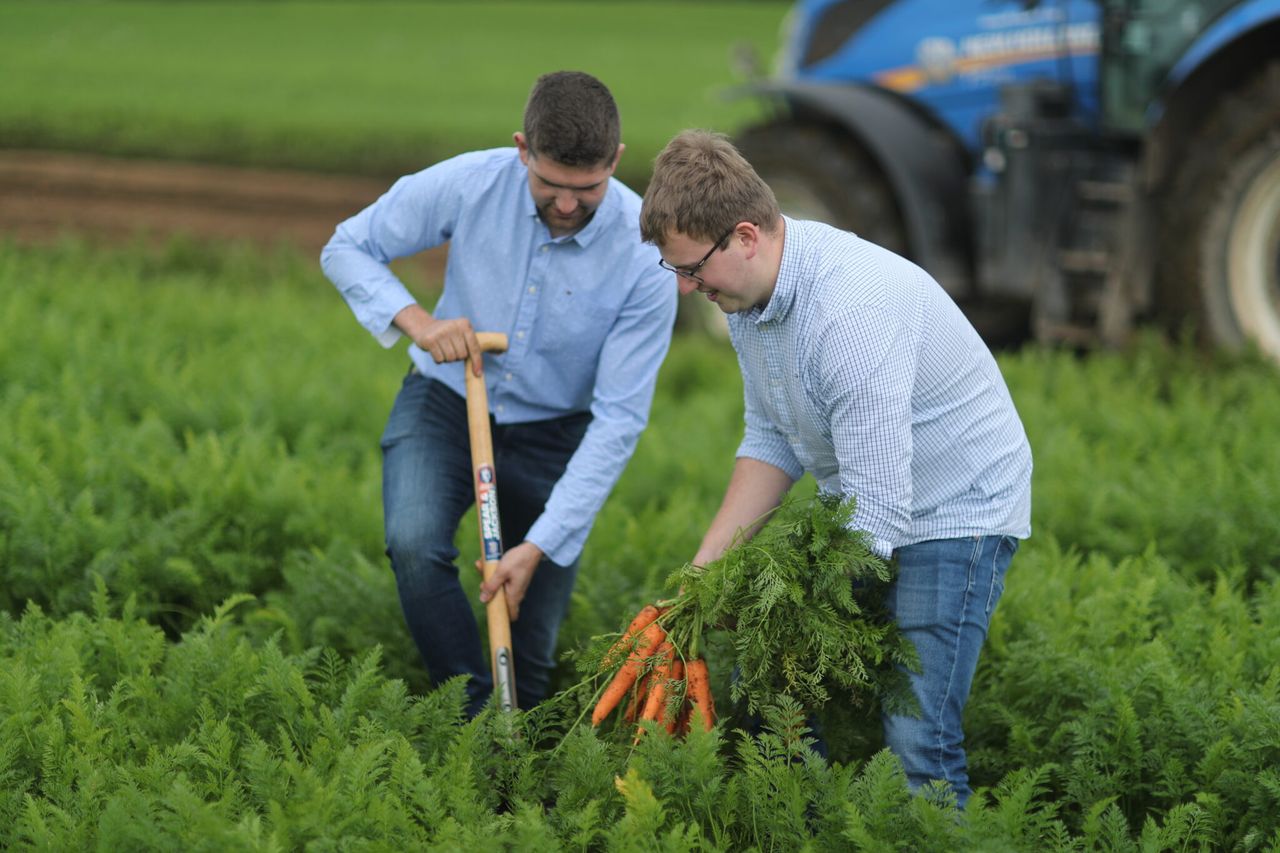 M&S joins Armagh vegetable grower to boost pollinator activity