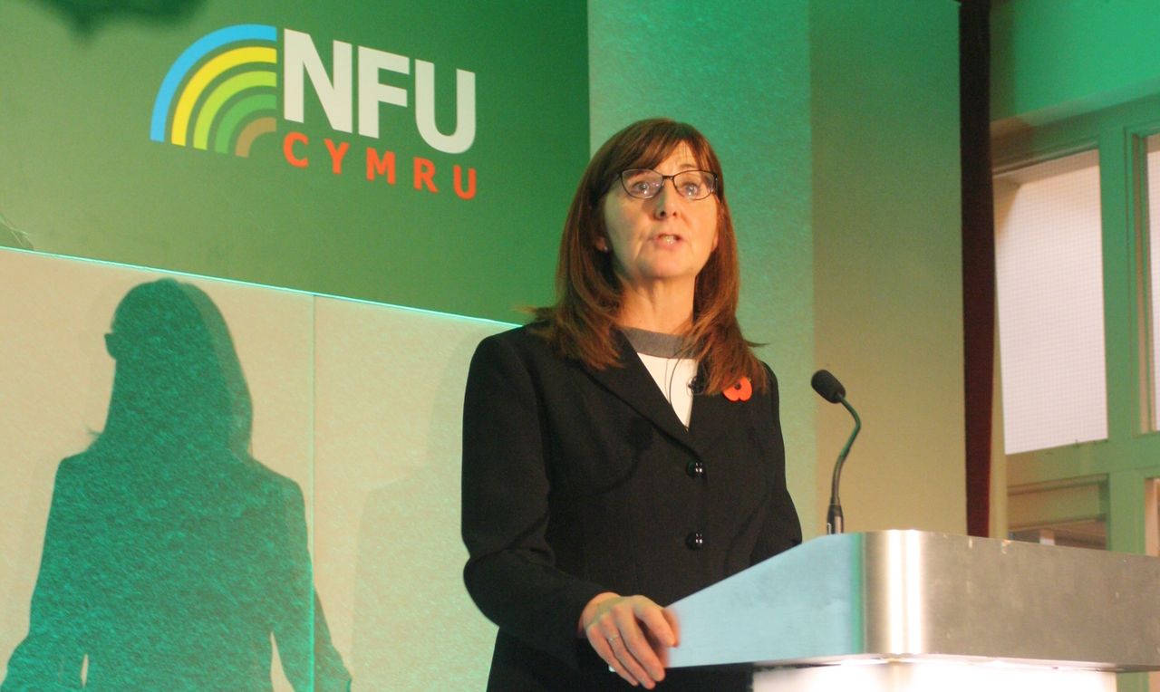 Griffiths: Maintaining the status quo is 'not an option' post-Brexit