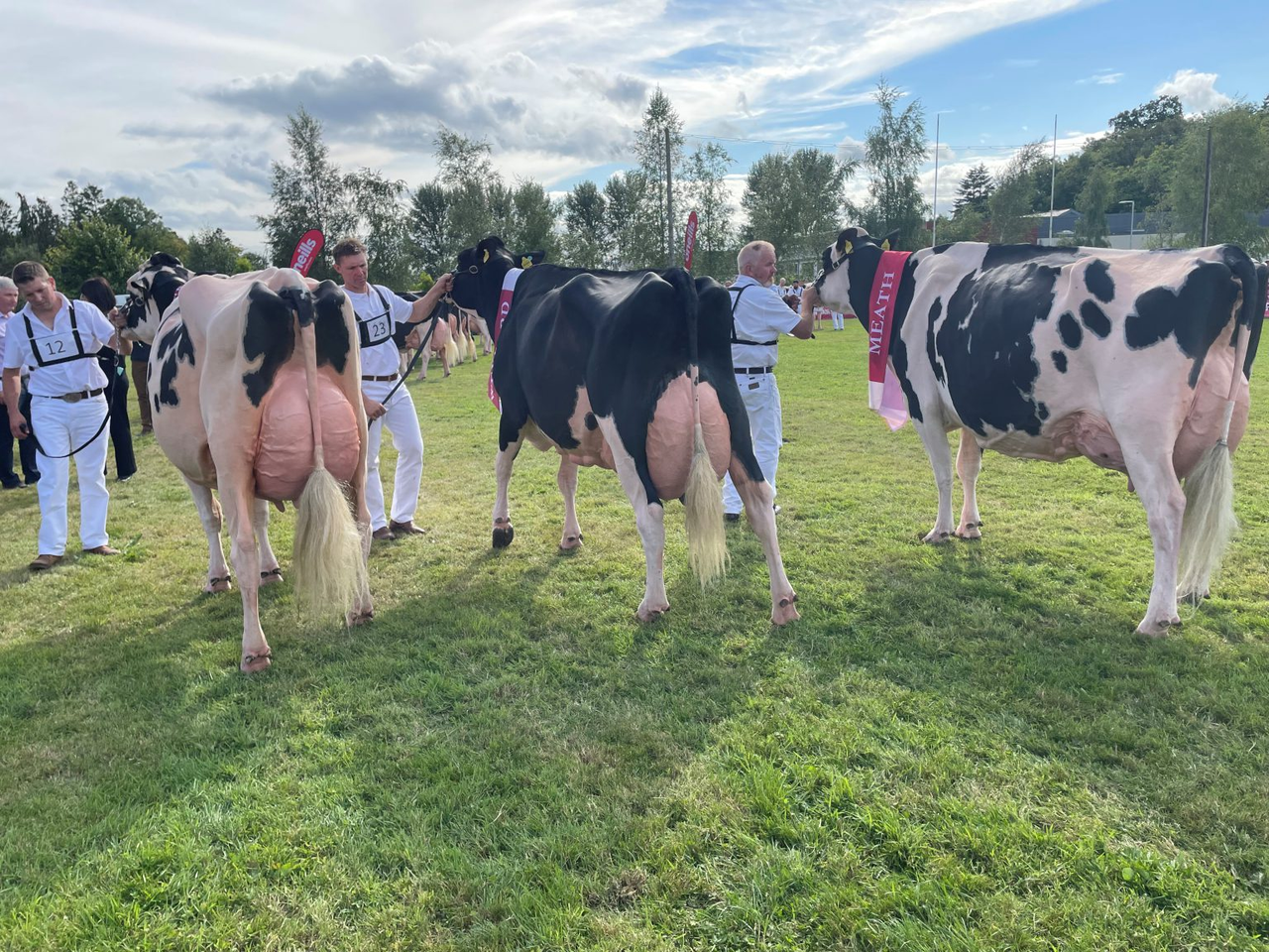 Judge for 2023 Baileys cow competition named