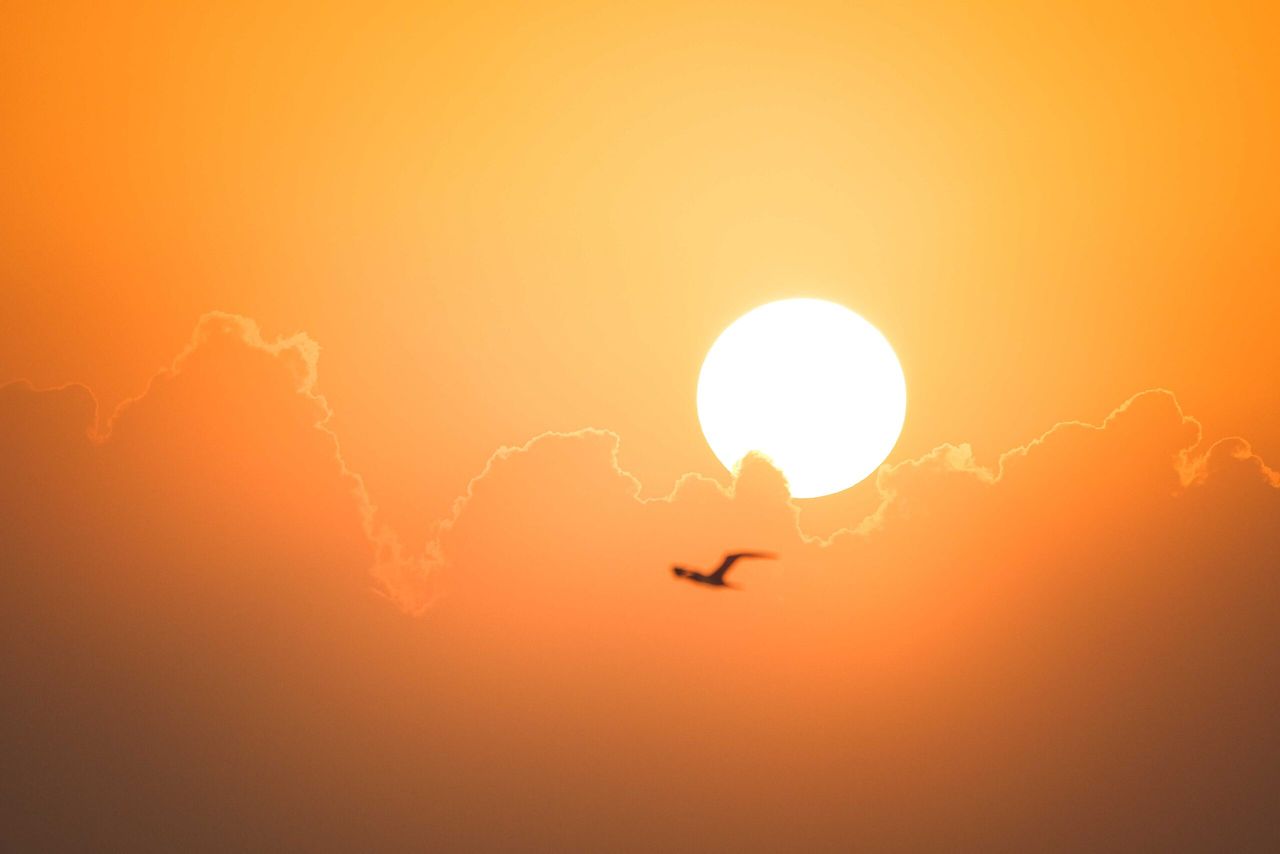 First heat-health alert issued for 6 regions in England