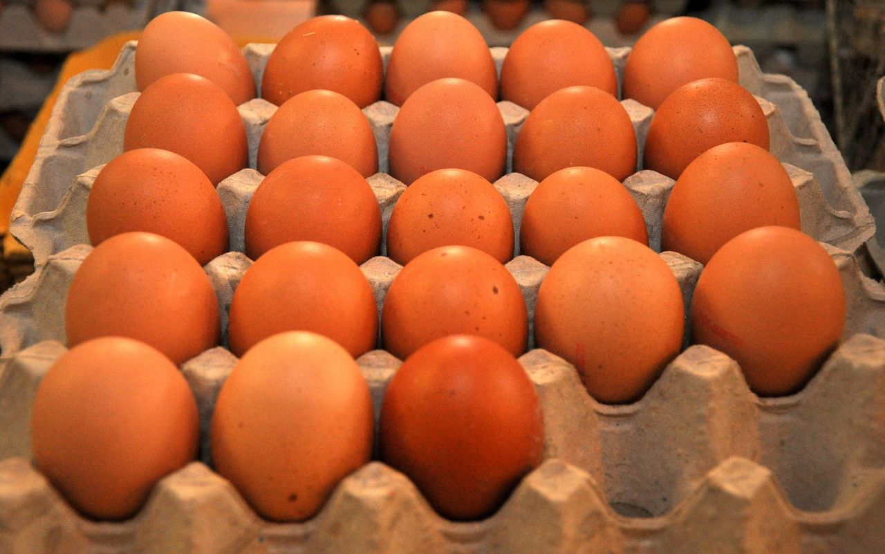 Major egg theft in the US as prices continue to rise