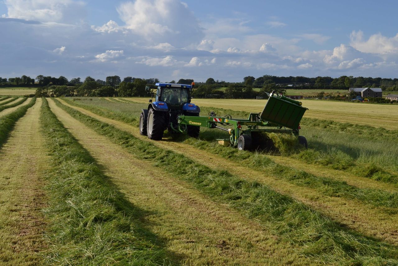 Krone Big X 1100 silage demonstration day