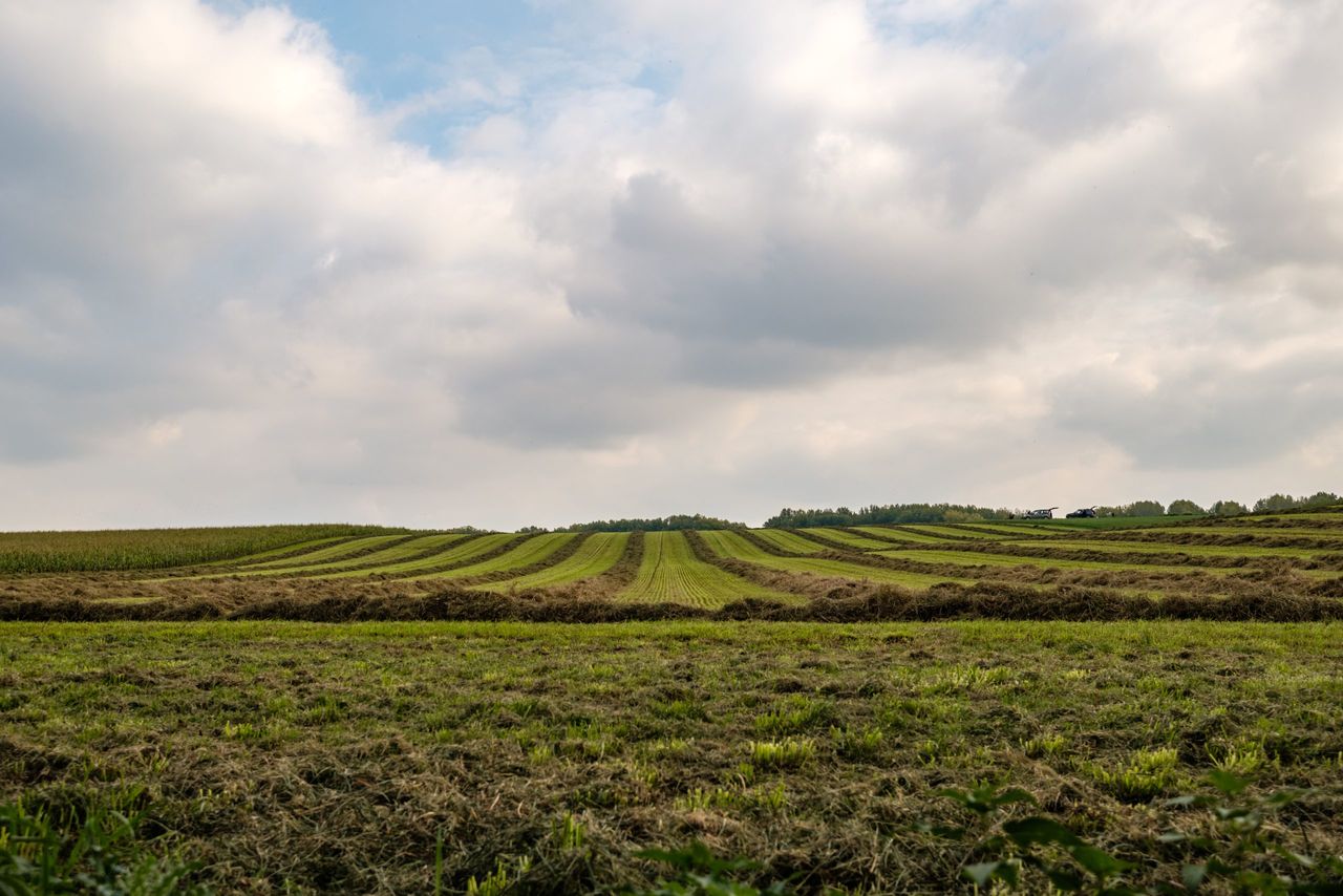 DAERA publishes NI farm performance indicators