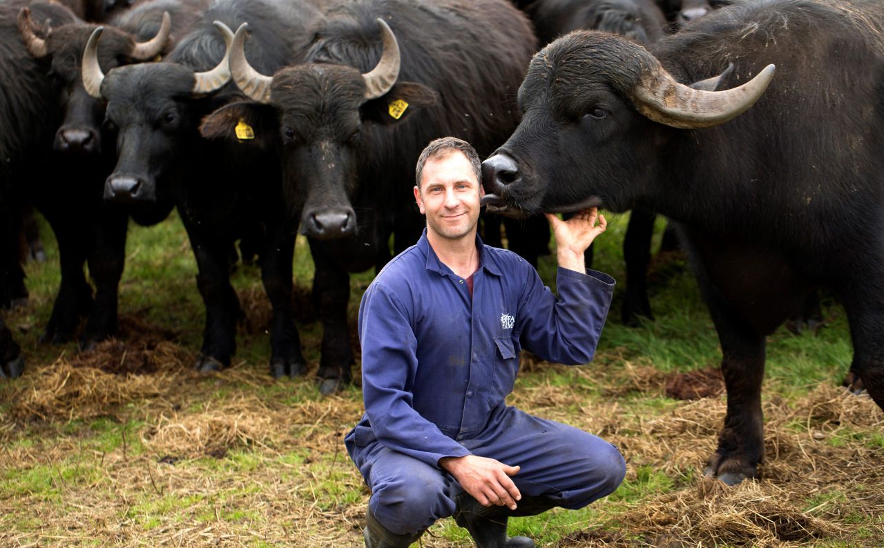 TV producers looking to dig into Northern Irish farming life