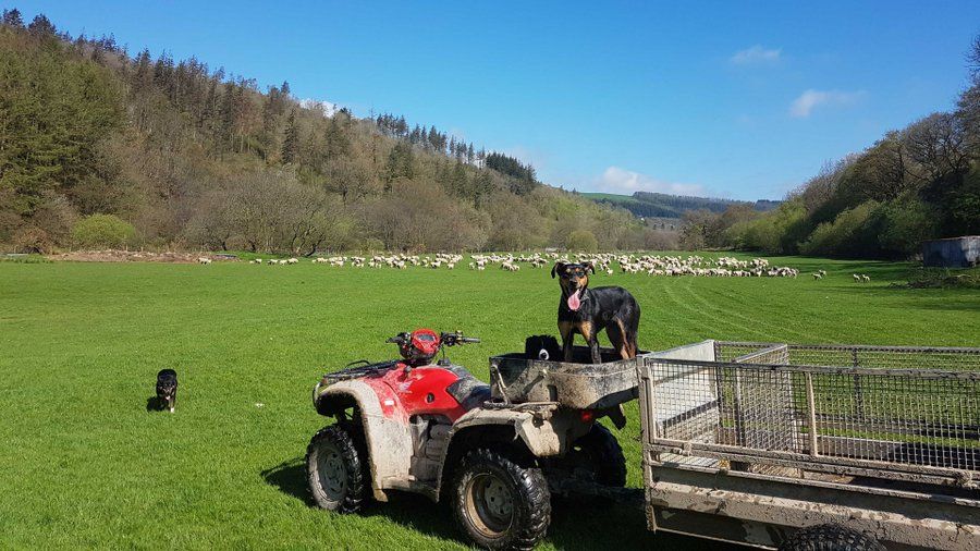 150 attend UK-based 'digital farm walk'