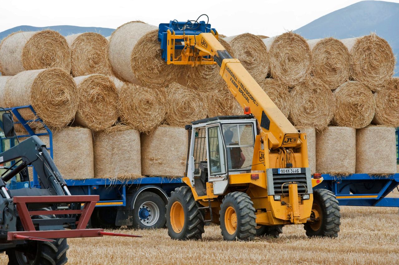 Research: Impact of potash levels on straw strength