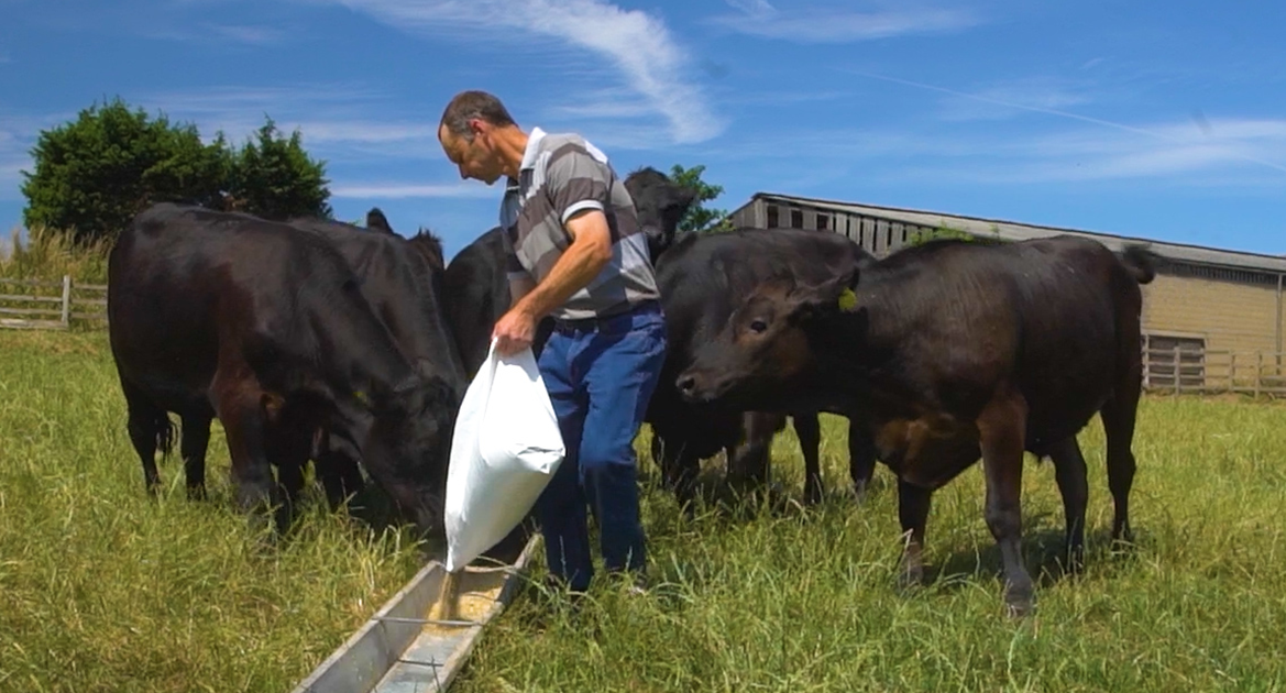 1,600 farmers set to benefit from new multi-million pound beef deal