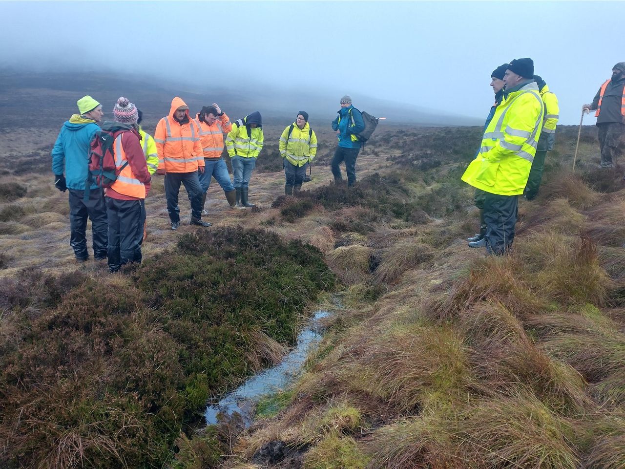 Peatland restoration scheme to capture over 1.4M tonnes of carbon