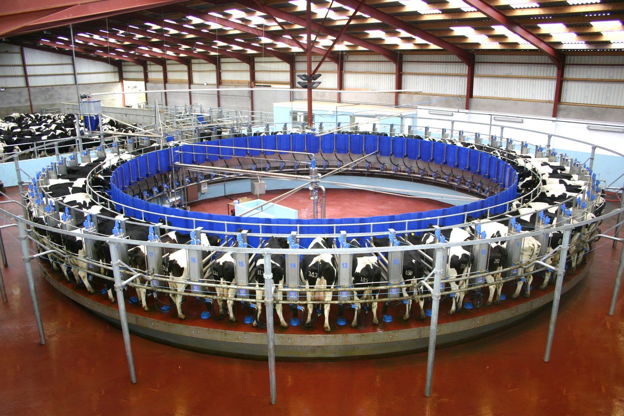 Dairy production outstrips consumption new report finds