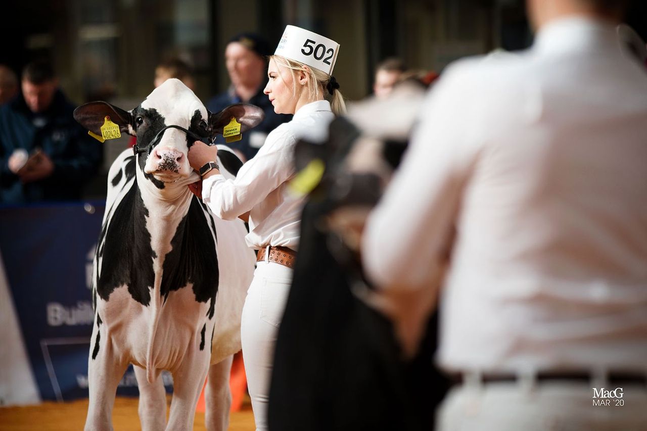 UK Dairy Expo goes ahead despite Covid-19 concerns