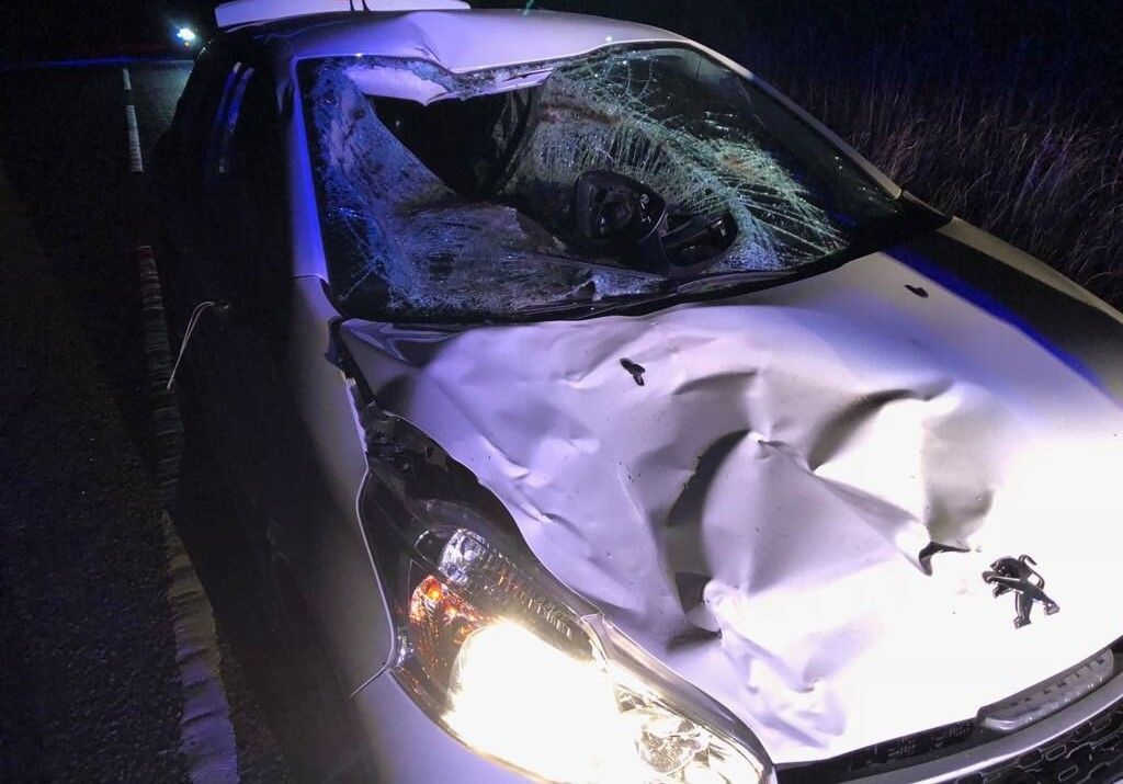 Driver makes lucky escape after 'frightening' smash with cow in Durham