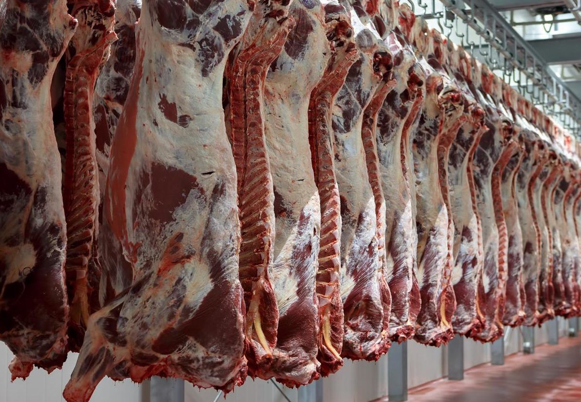 Former Dunbia boss sets up agri-food consultancy firm
