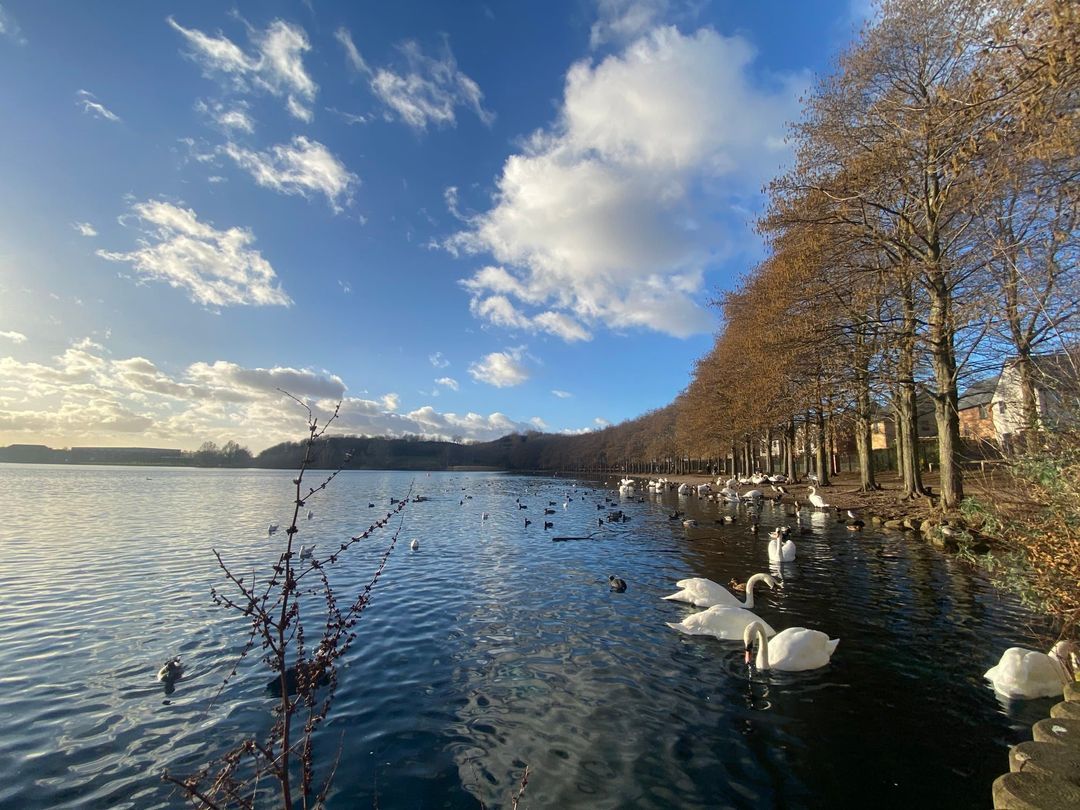 Bird flu: Doncaster community urged to avoid bird droppings
