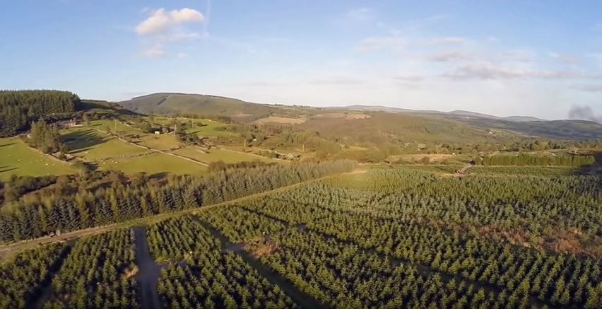 Video: Great footage of the view over a Christmas tree farm