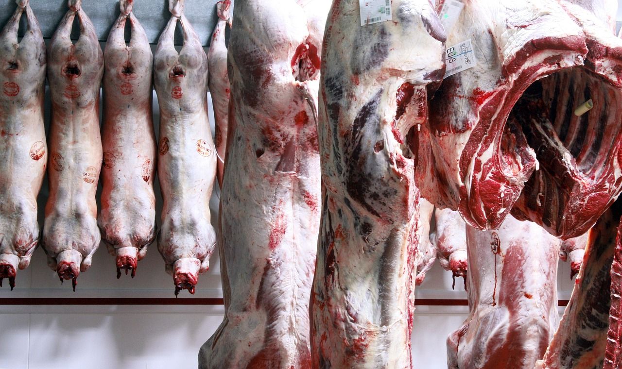 New sheep carcass rules to 'deliver fairer prices for farmers' - Defra