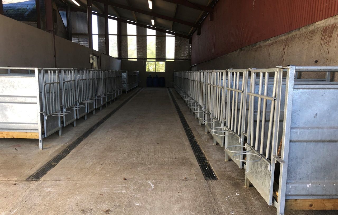 Management hint: Your complete pre-calving checklist