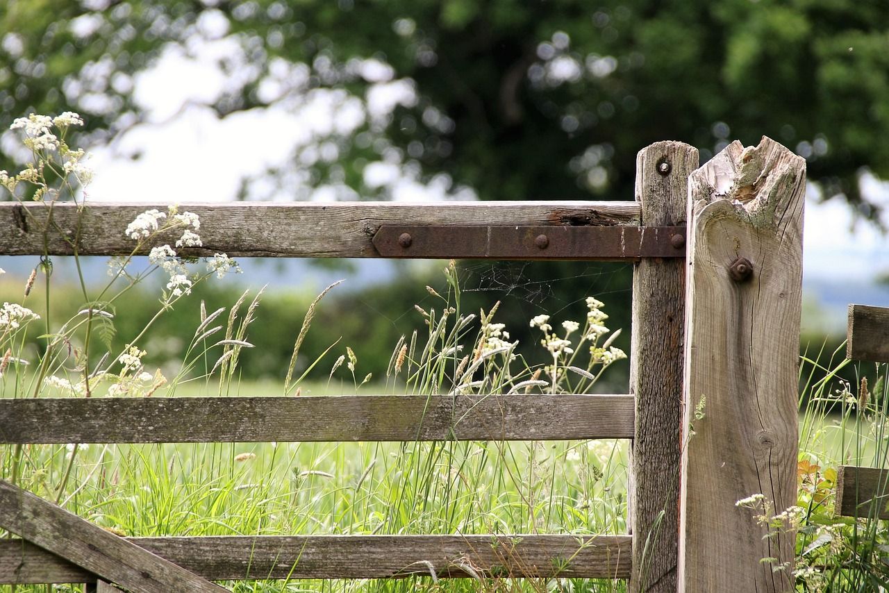 Opposition to rural development is holding communities back - poll