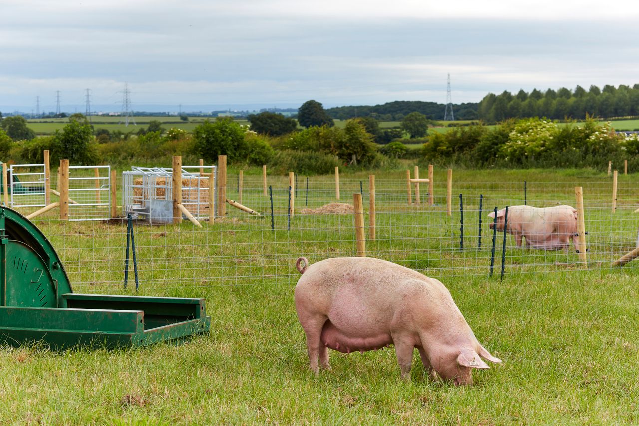 ‘Smart’ farms to transform how we produce food
