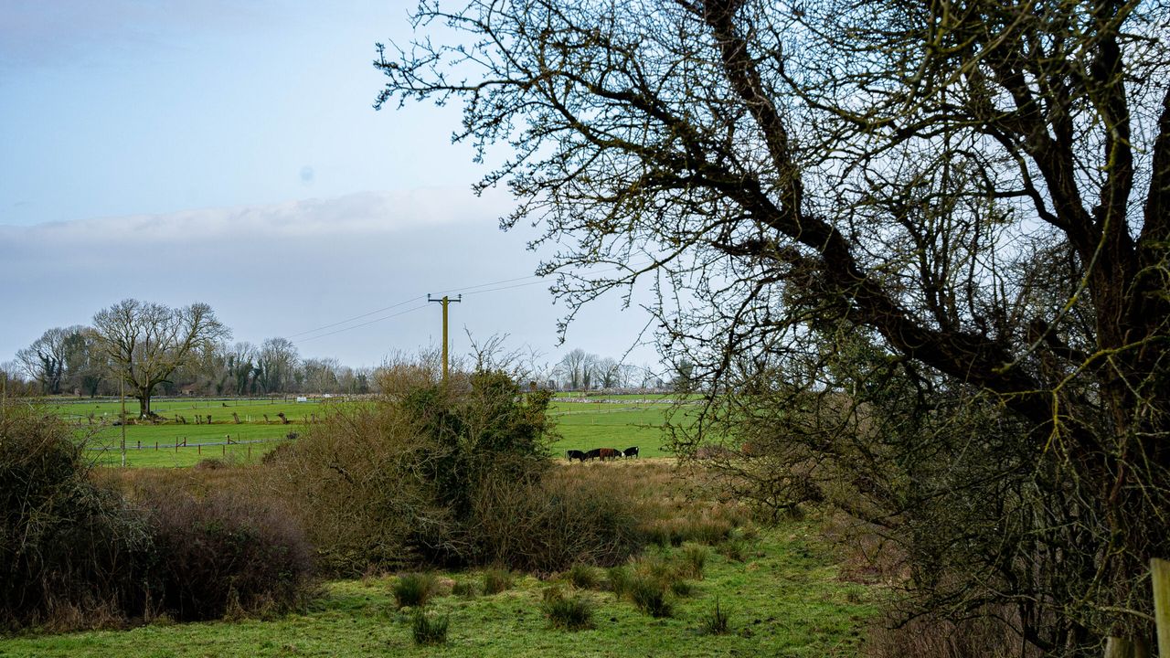 Fly-tipping stats fail to include incidences on 'private rural land' - CLA