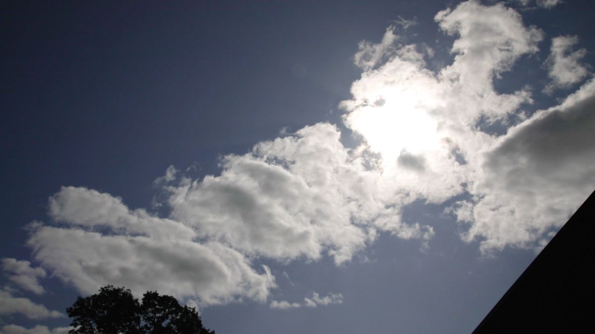 DAERA call for air pollution evidence ‘extremely concerning’ – UFU