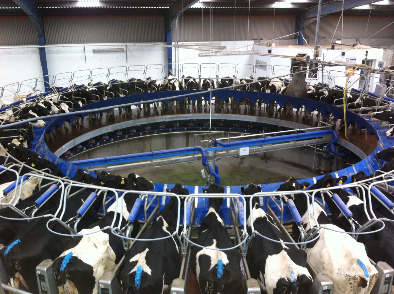 Northern Irish milk prices: A round-up for May