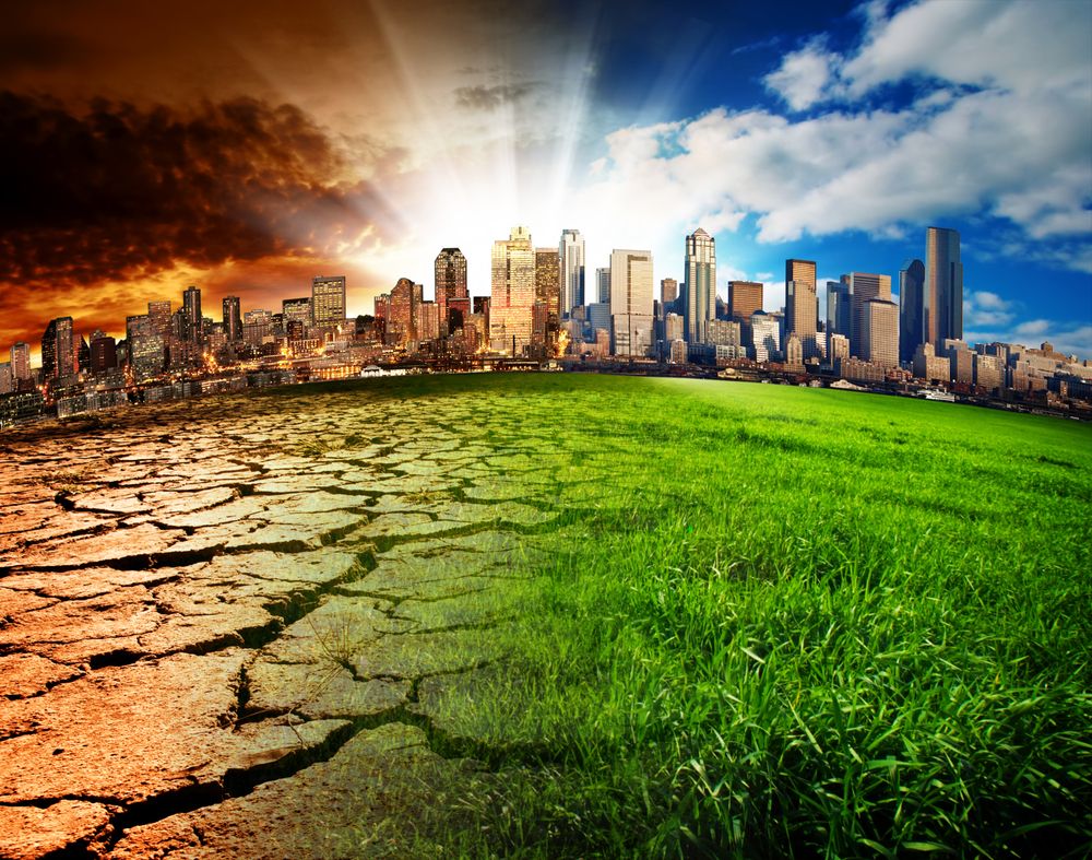 Queen’s in £5m UK project to help agrifood reach net zero