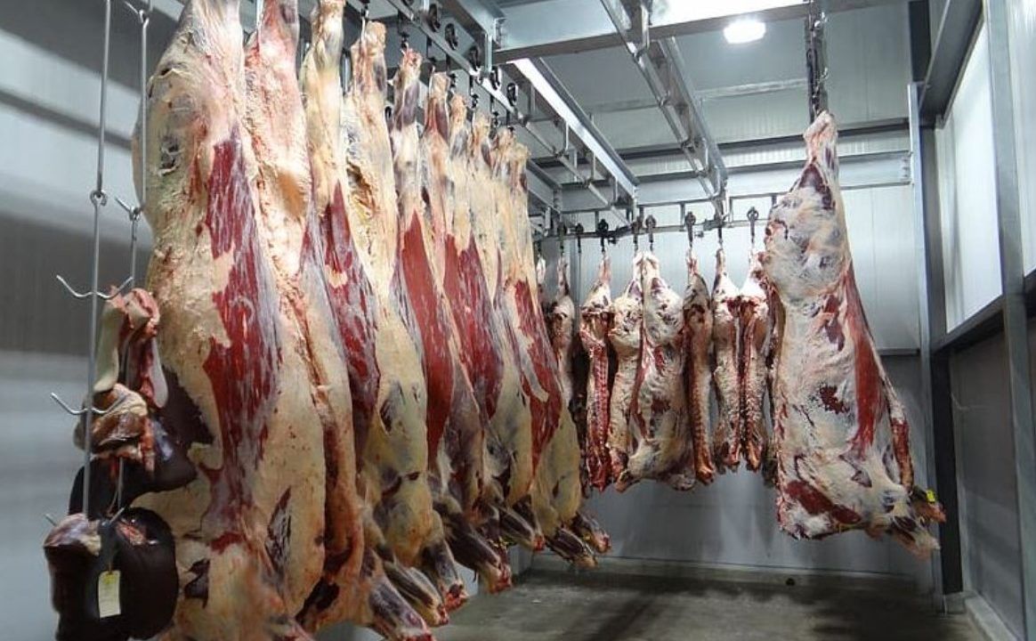 Australian cattle and sheep numbers expected to decline in 2025