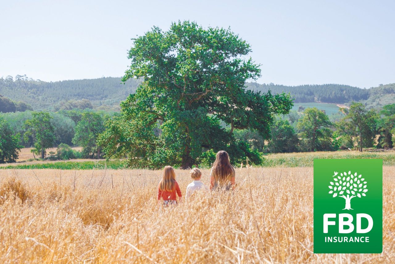 After a 'period of significant change' FBD invests €2.5m in rebrand