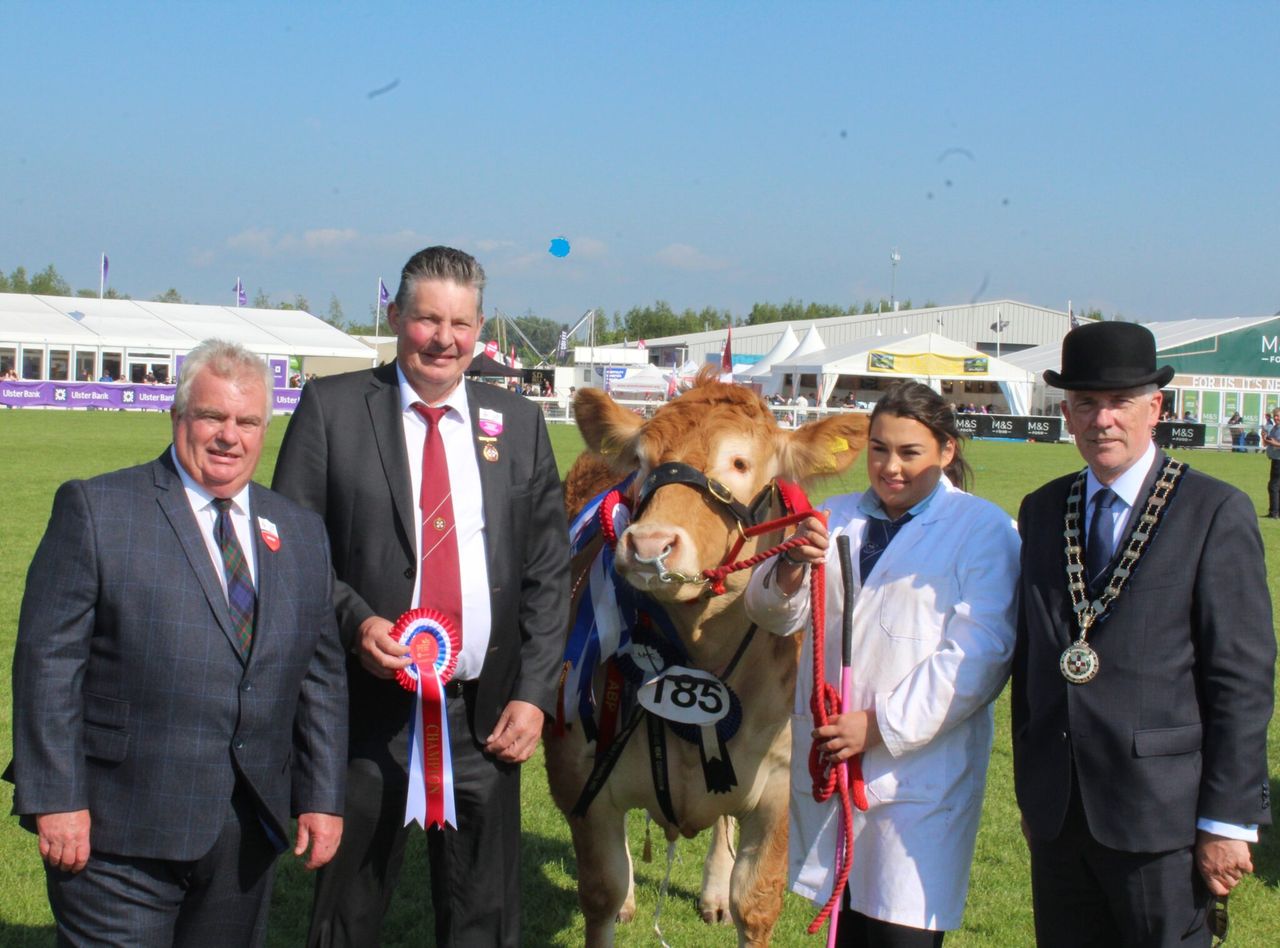 Trevor Shields is the Champion of Champions at Balmoral Show 2024