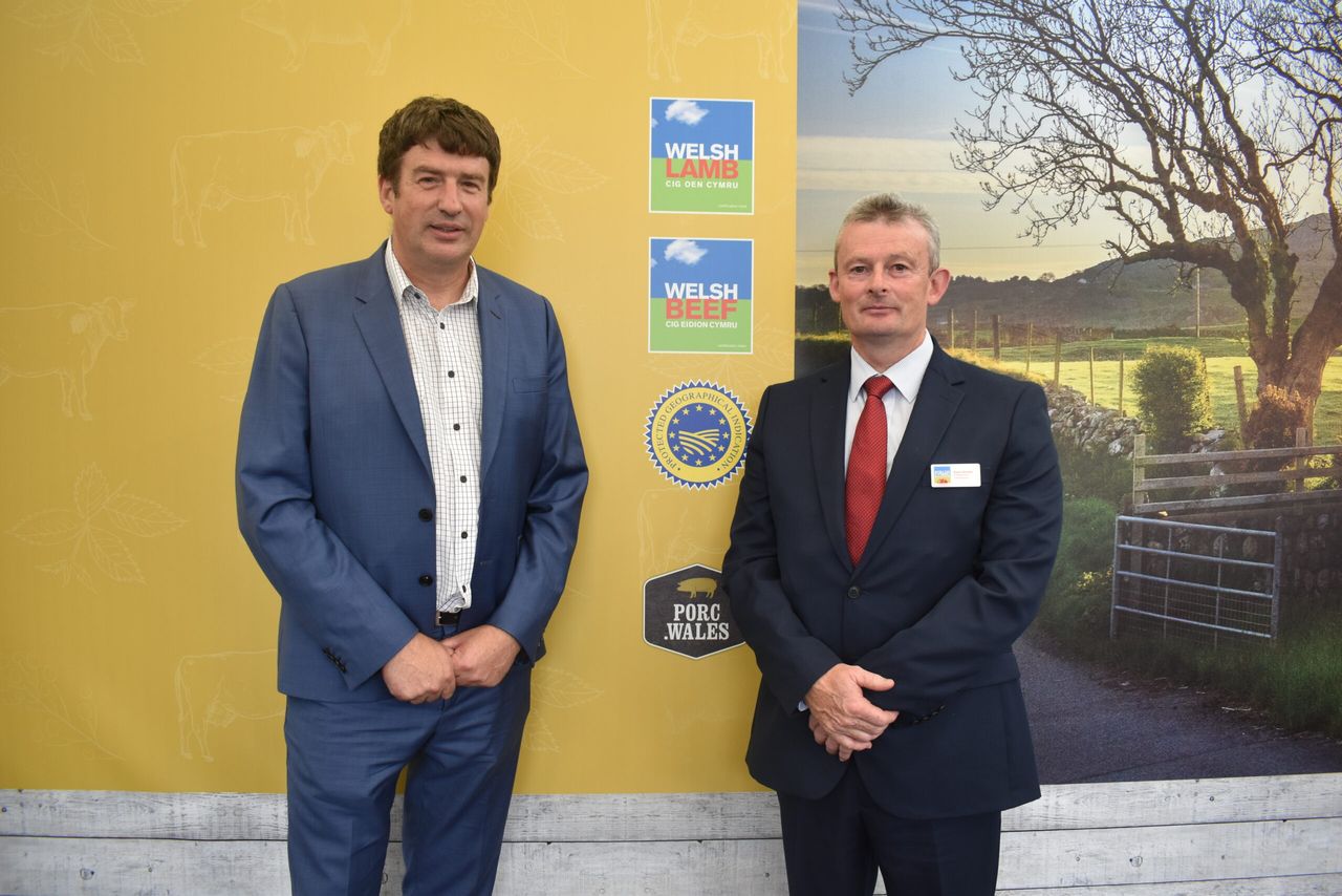 Welsh Lamb scores top traceability marks in scientific study