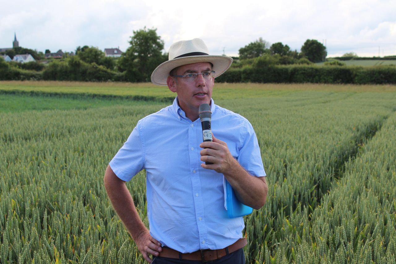 ‘Availability of BYDV-tolerant crops is a game changer’ – agronomist