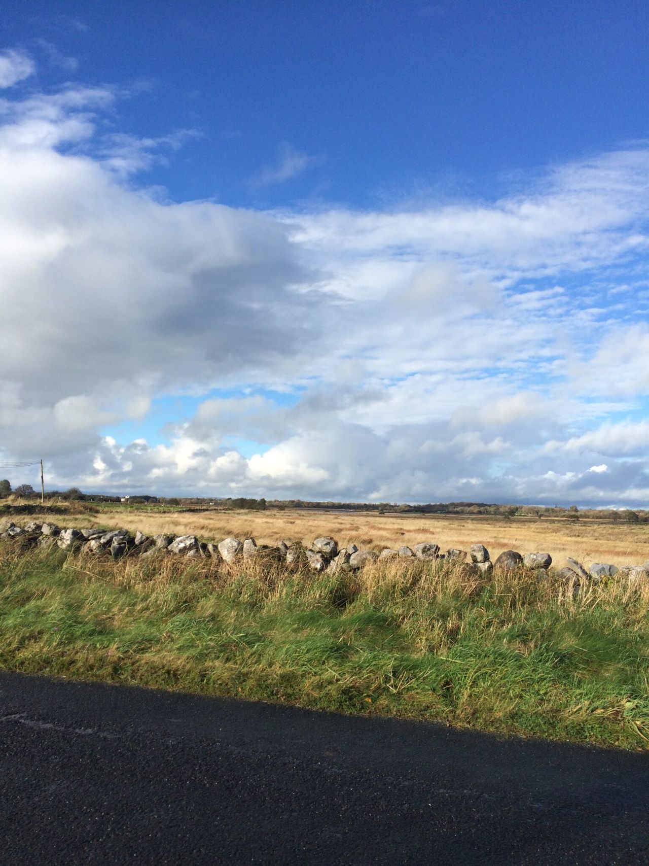 Single Farm Payments in the North drop in value in 2015