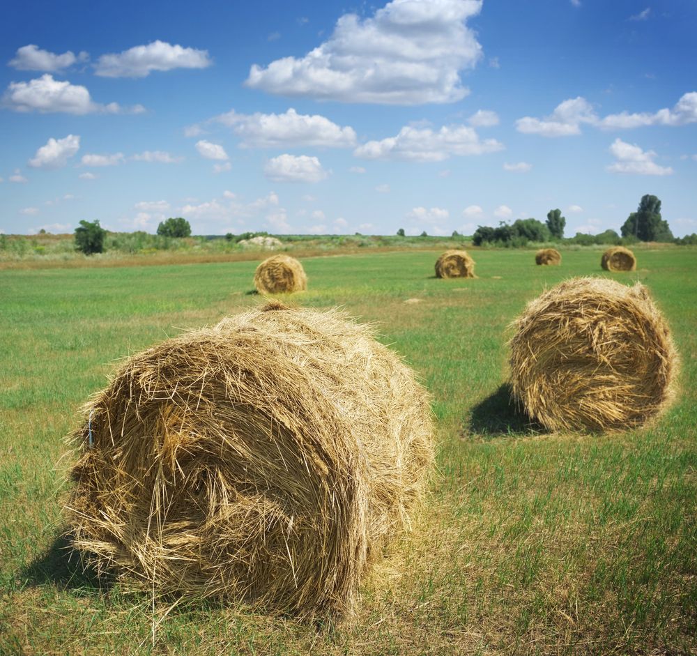 Environmental lobby says CAP won’t deliver for the environment