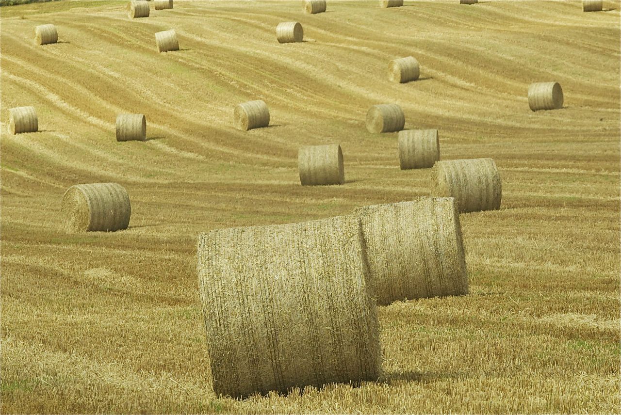 Now this is an impressive use of tractors and straw bales at the Tour de France!