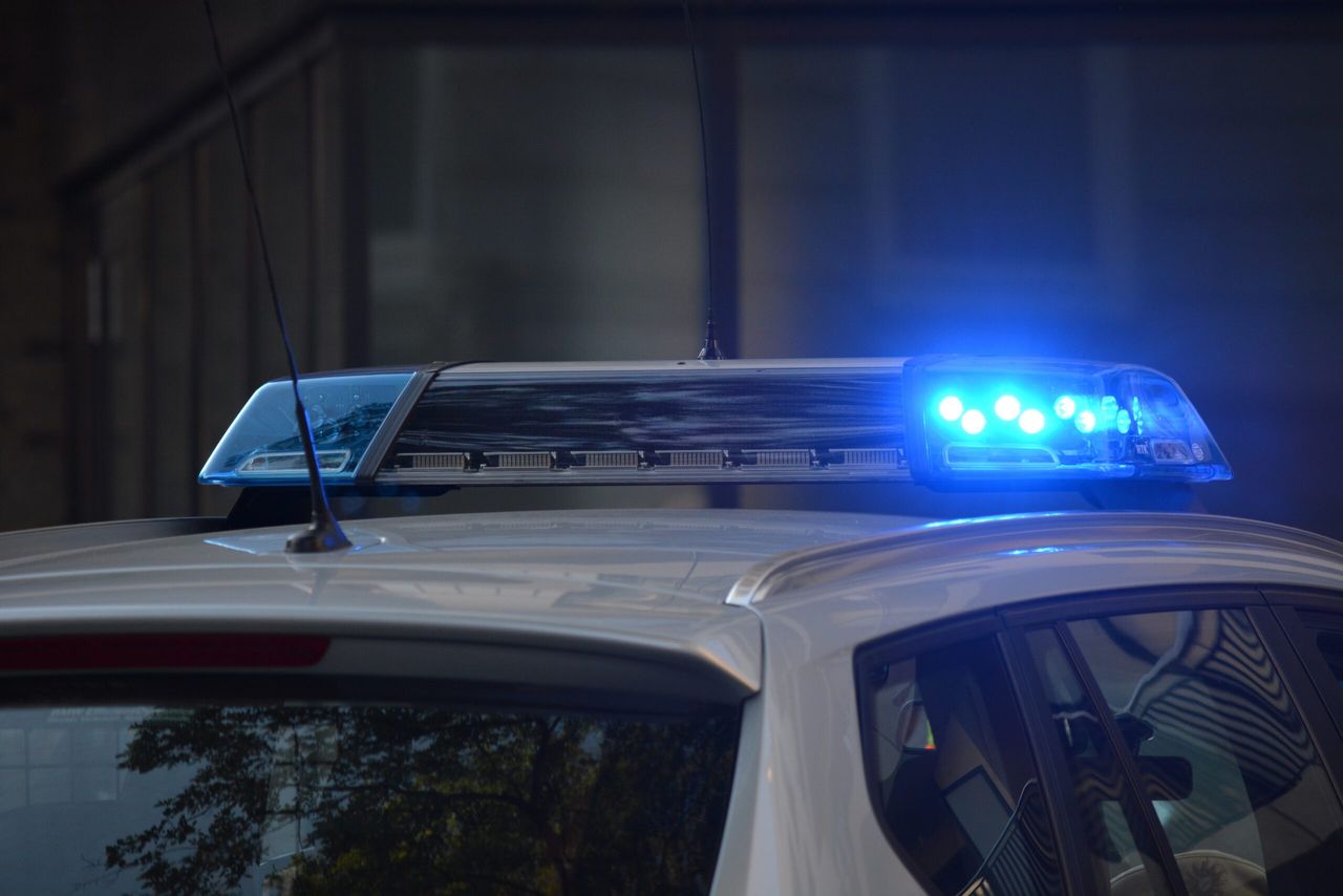 Footage shows British police car used to ram escaped cow