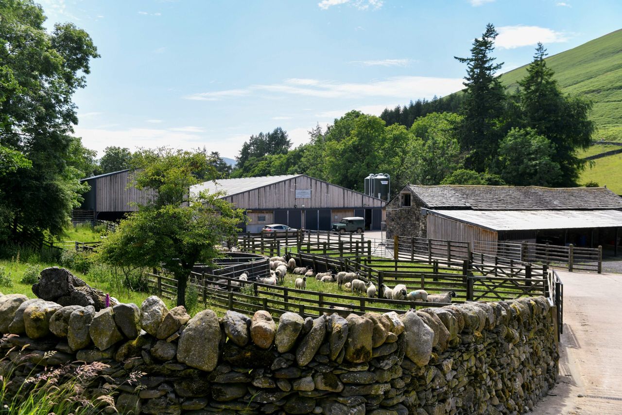 Ernest Cook Trust launches new farming apprenticeship programme