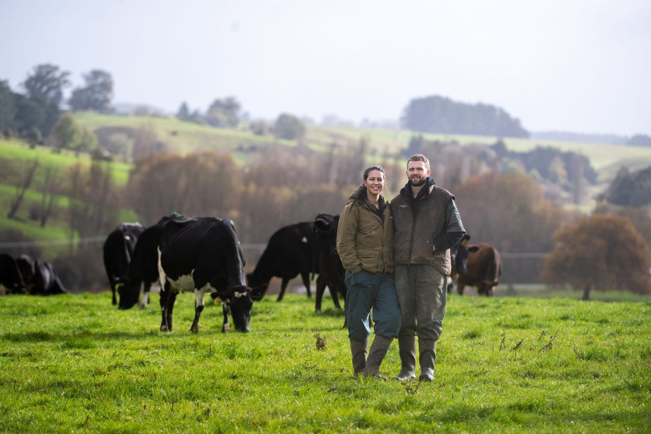Former UK sheep shearer excels at New Zealand share milking