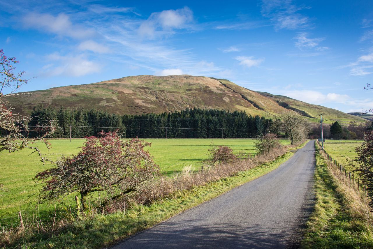 Scottish tree nurseries and small forestry businesses to benefit from £1.5 million funding