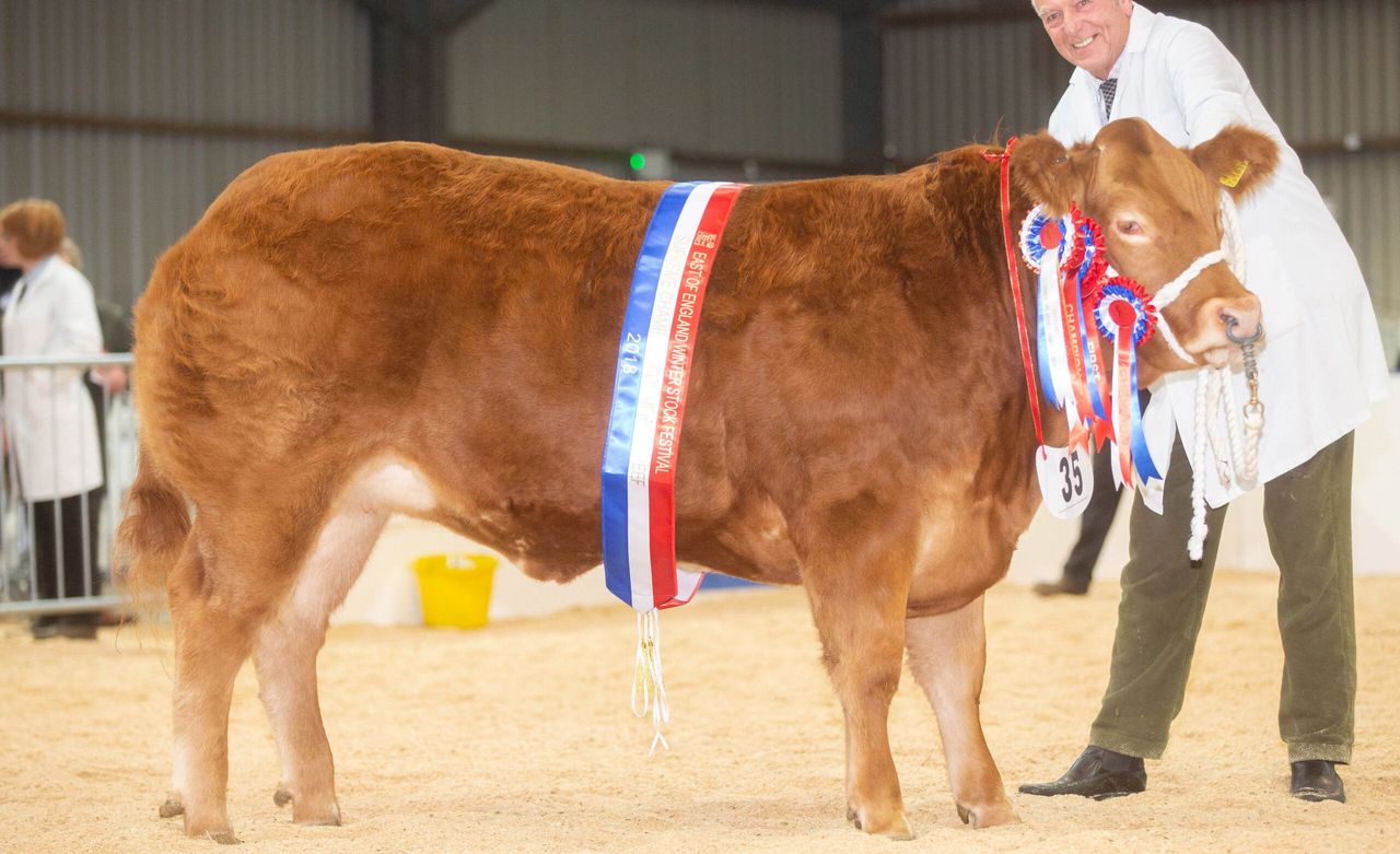 Newcomers and quality lead the way at the Winter Stock Festival