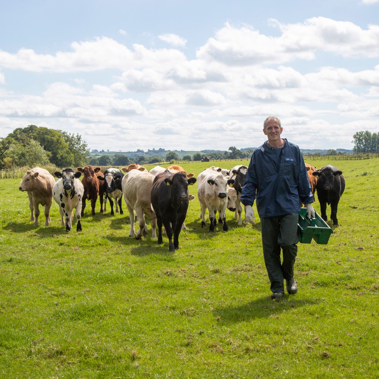 Former BVA president appointed to Red Tractor board