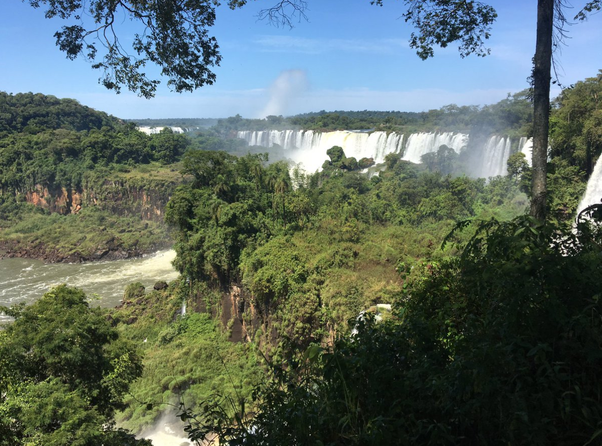 Mercosur trade deal ‘fails sustainability criteria’ – Oxford University