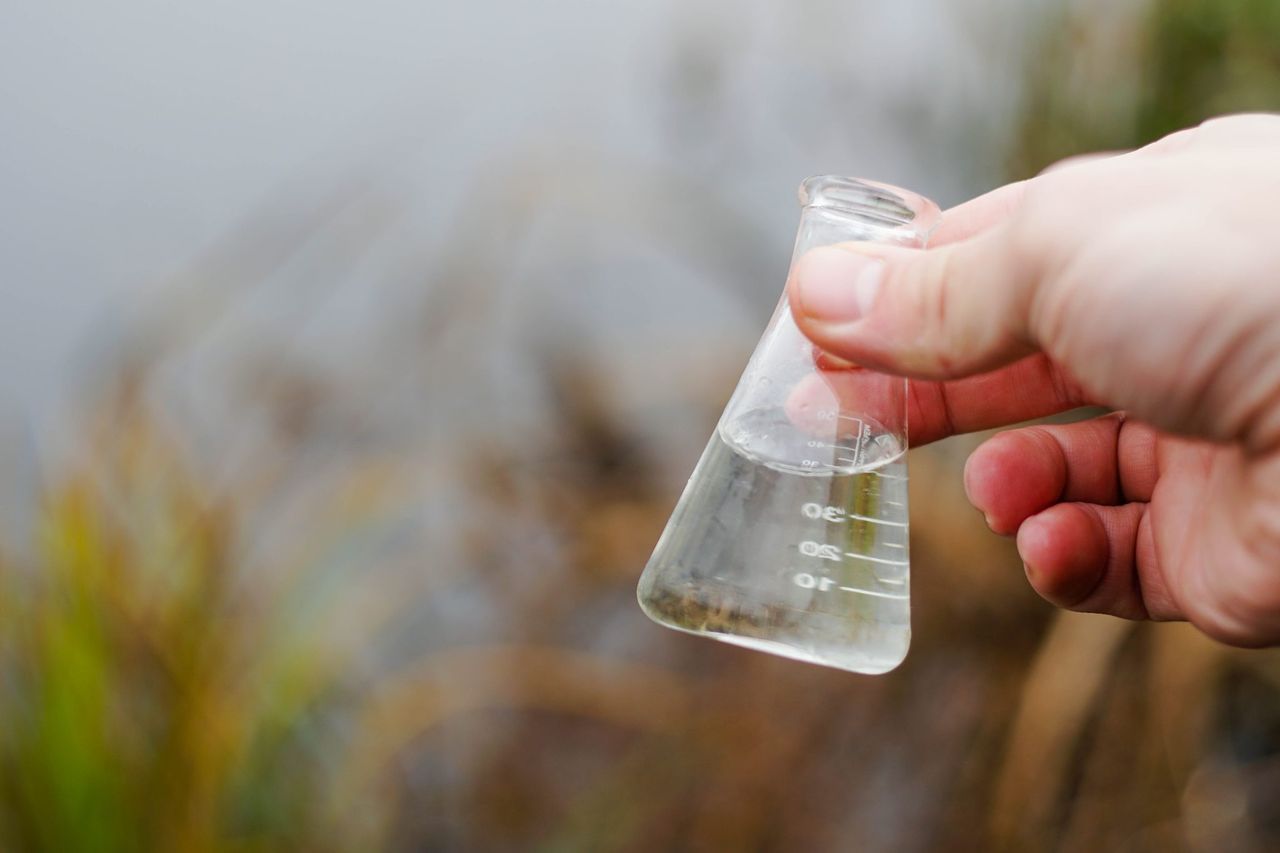 Court: NI farmer convicted for water pollution offence
