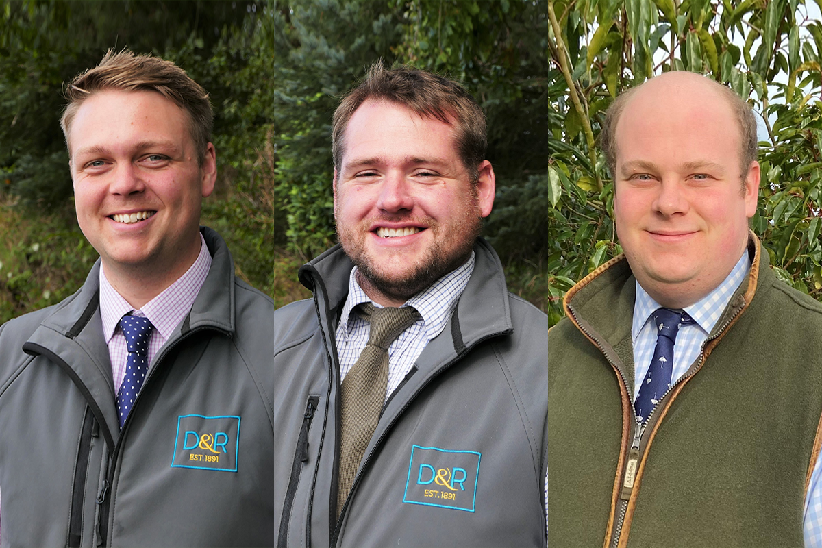 Davidson & Robertson restructures to create dedicated sales team
