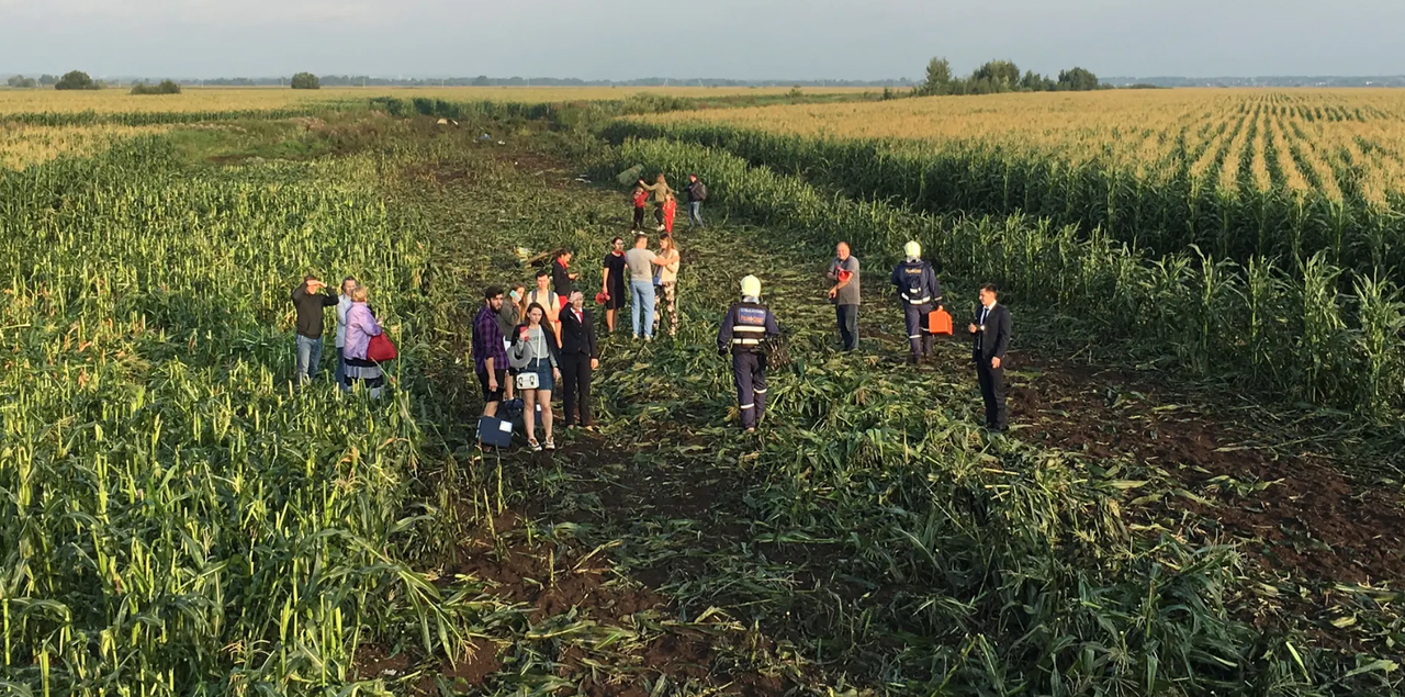 Video: Passenger jet makes emergency landing in maize field