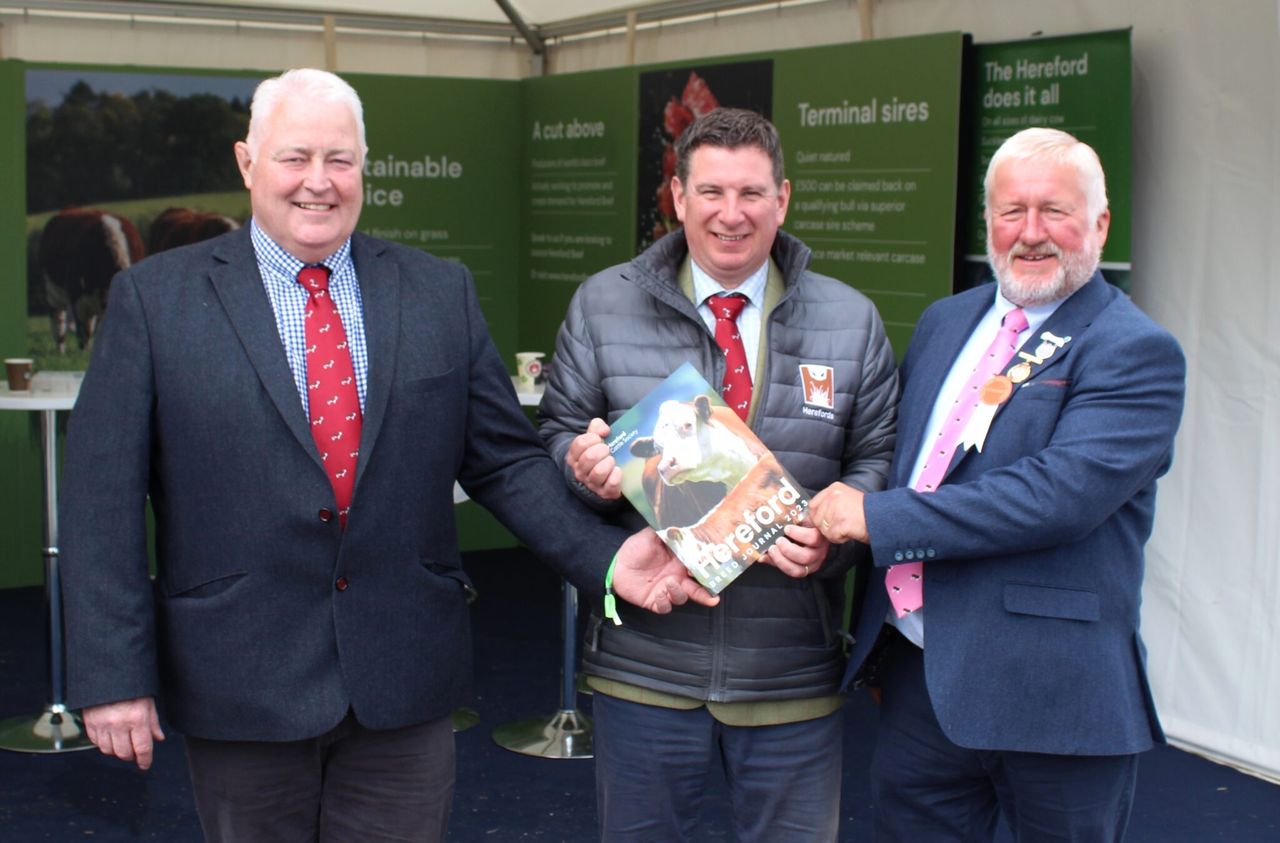 Balmoral Show 2023: Tremendous turnout of Hereford cattle