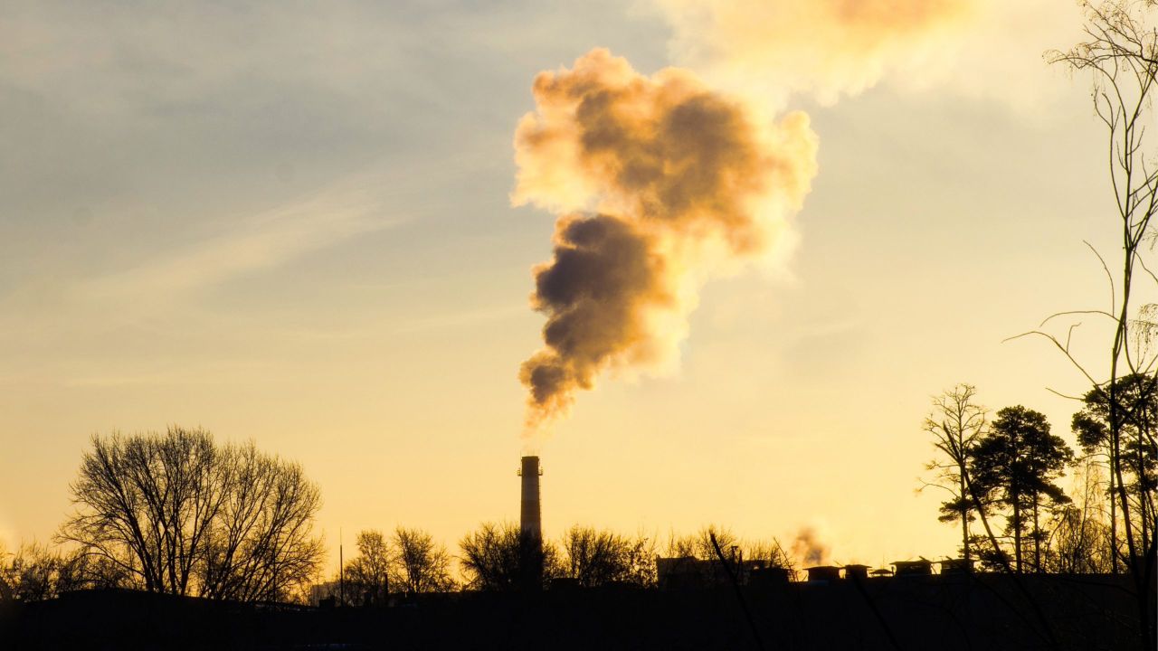 Agriculture behind nearly a third of NI emissions in 2024 – DAERA
