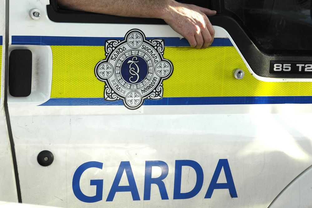 124% increase in cattle reported stolen this year