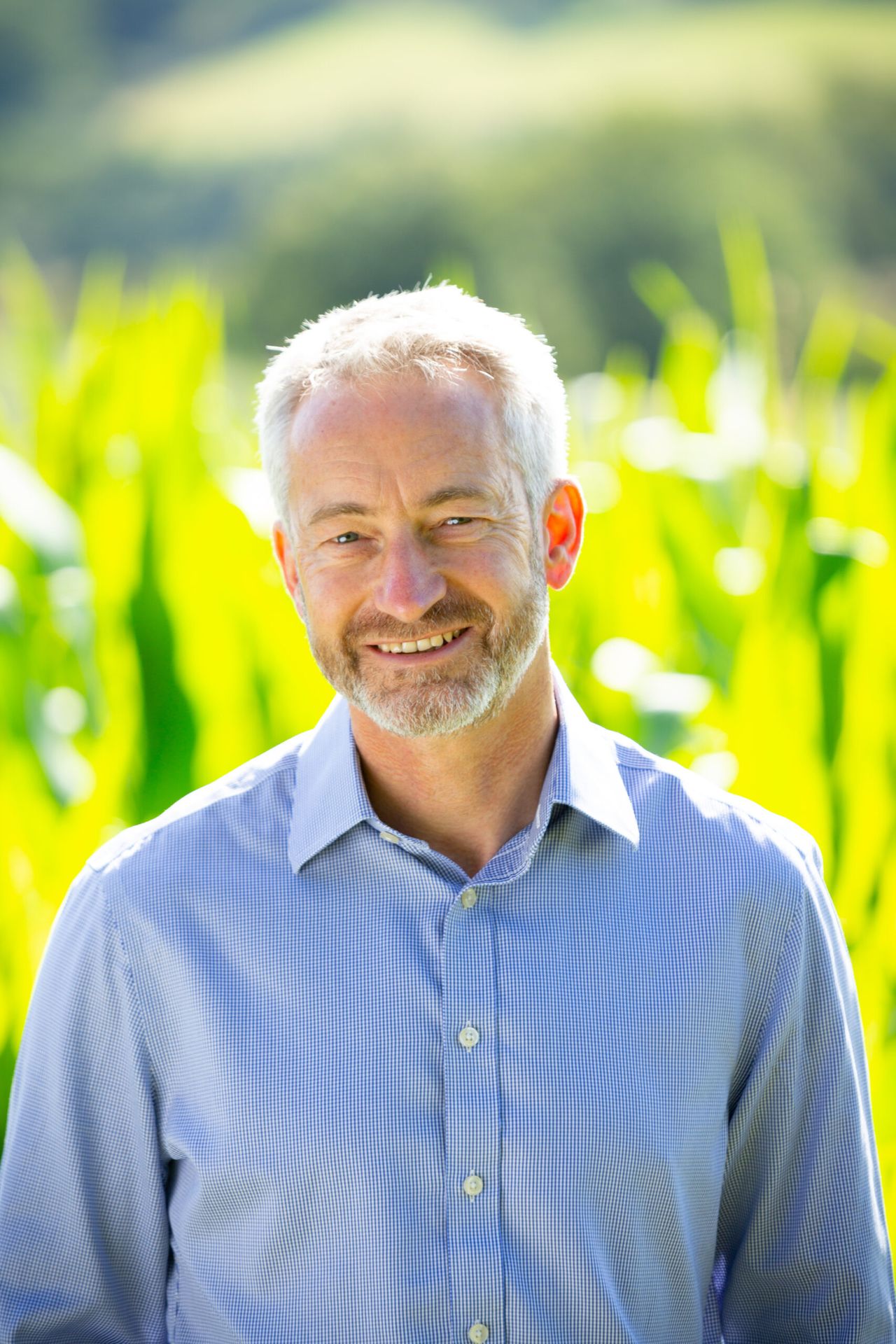 New head of farming appointed at Strutt & Parker