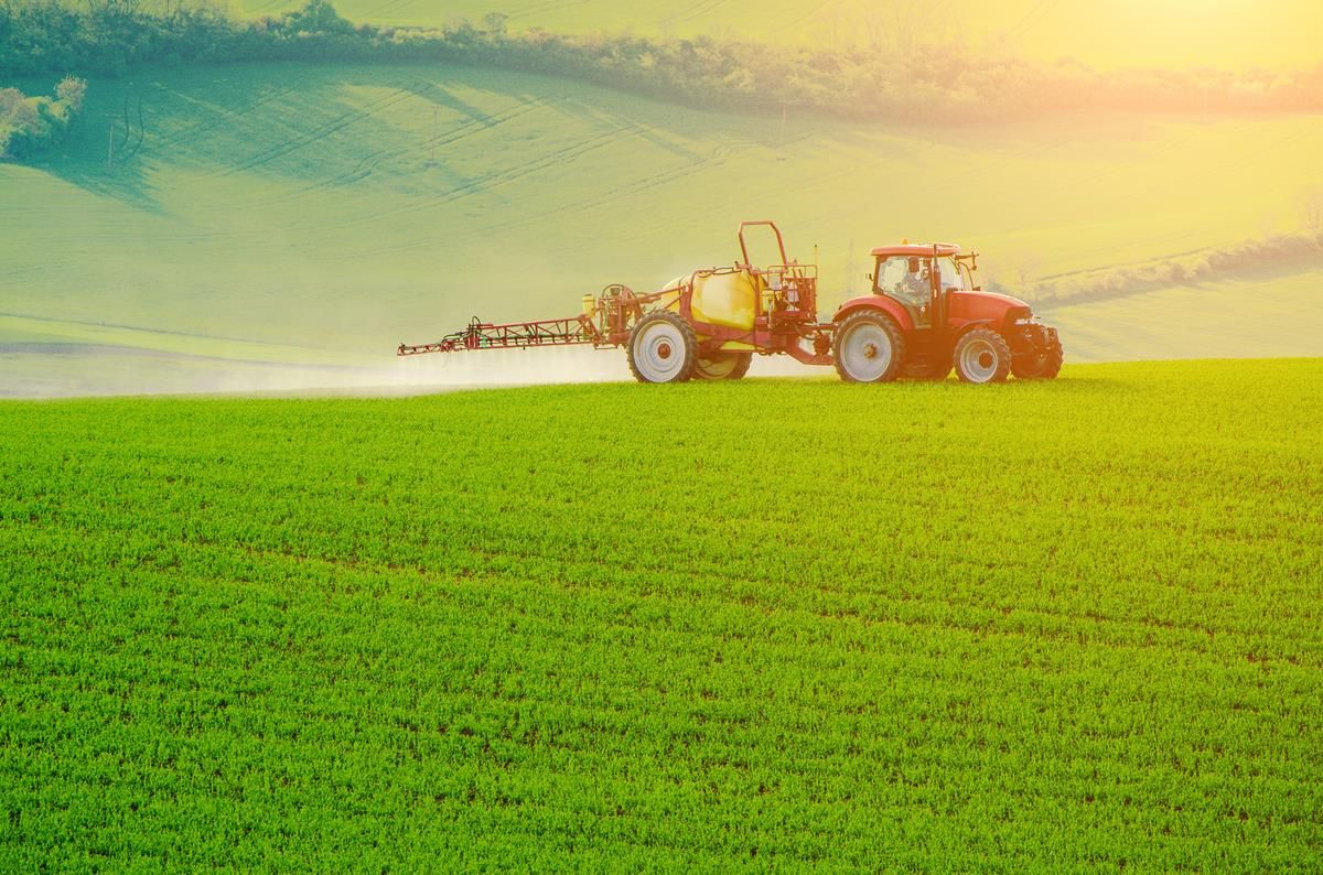 Reduce P and K application rates at your peril – PDA